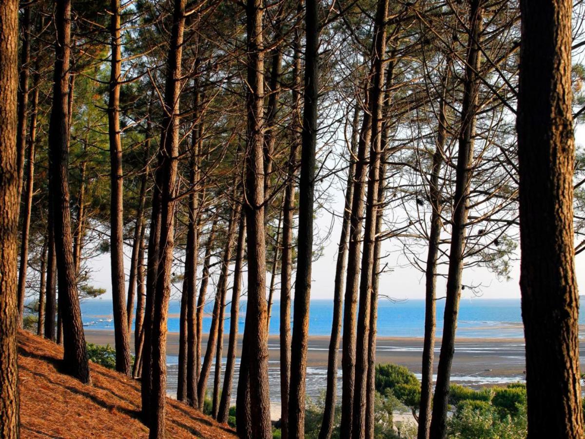 Arcachon Centre : Charmant T2 Avec Loggia, Parking Securise Et Proche Plage - Fr-1-420-61 Exteriör bild